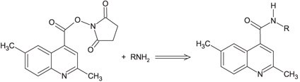 DMQC-OSu reaction