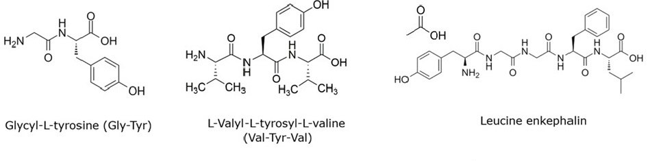 Chemical structures of Gly-Tyr, Val-Tyr-Val, and leucine enkephalin peptides in HPLC standard mix.