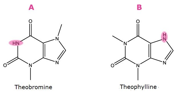 Two compounds used as markers for acidity/basicity are shown. On the left is the chemical structure of theobromine, featuring a six-membered ring fused with a five-membered ring. The NH group at the third position on the pyrimidine ring, next to the carbonyl group, is highlighted in pink to indicate the proton location with a pKa of 10, labeled A. On the right is the chemical structure of theophylline, with the NH group at the seventh position on the imidazole ring highlighted in pink to indicate the proton location with a pKa value of 8.6, labeled B.