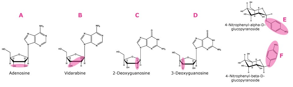 The graphic depicts six compounds' chemical structures, which were utilized as shape selectivity markers. The first chemical on the left, called A, is adenosine, which has two OH groups connected to the second and third positions of the furan ring, highlighted in pink to show the cis position of the hydroxyl groups. The second molecule, labeled B, is vidarabine, which has OH groups in the trans position. The third molecule, labeled C, is 2-deoxyguanosine, with hydrogen atoms highlighted to indicate the lack of an OH group in the second position. The fourth molecule, labeled D, is 3-deoxyguanosine, with hydrogen atoms highlighted to indicate the lack of an OH group in the third position. The top right structure, labeled E, is 4-nitrophenyl-alpha-D-glucopyranoside, with the nitrophenyl group emphasized for its axial orientation, 