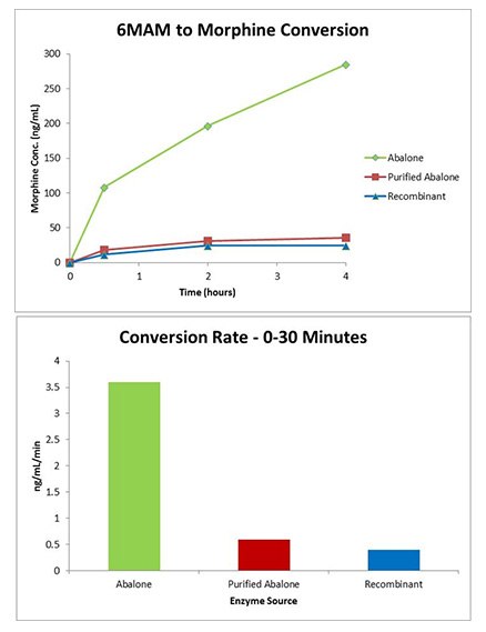 recombinant-gus-comparison