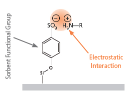 Ion Exchange Methodology