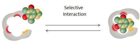 supelmip-selective-interaction