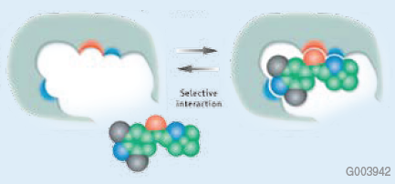 Illustration of a Selective MIP Cavity