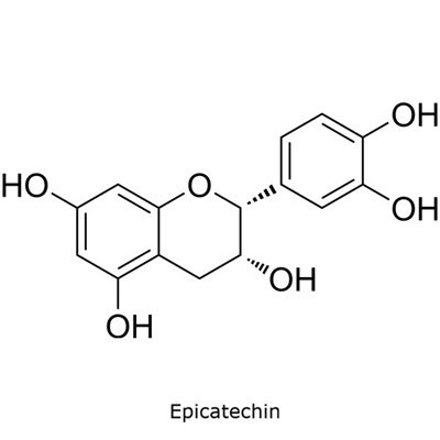 Structural diagram of epicatechin showing a flavanol core with multiple hydroxyl groups.