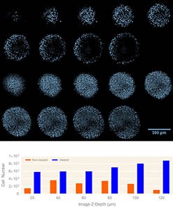 corning-representative-montage