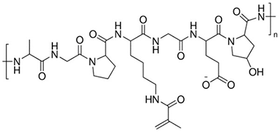 甲基丙烯酰胺明胶