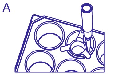 From above, pipette enters the well to the side of insert within the same well to remove the media in the well without disturbing the cells or media within the insert