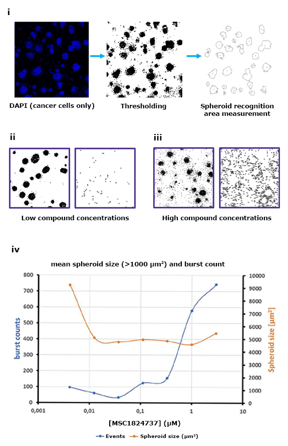 Spheroid killing burst assay. 