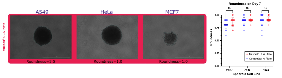 Quantification of spheroid roundness for spheroids formed in Millicell ULA plates
