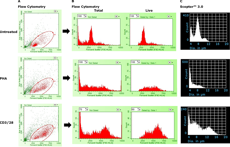 Limitations of the Scepter™ 3.0 Cell Counter in absolute discrimination of activated and non-responsive cells.