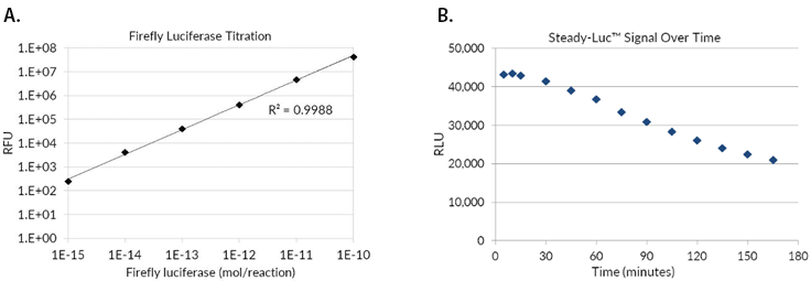 Titration of recombinant firefly luciferase in the firefly luciferase assay. A) Recombinant luciferase was serially diluted in 1X Firefly Lysis Buffer with 1 Mg/mL BSA and measured in the assay. B) The Firefly Luciferase HTS Assay is a steady-glow high sensitivity firefly luciferase reporter gene assay kit for the quantification of firefly luciferase expression in mammalian cells with signal half-life of about 3 hours.