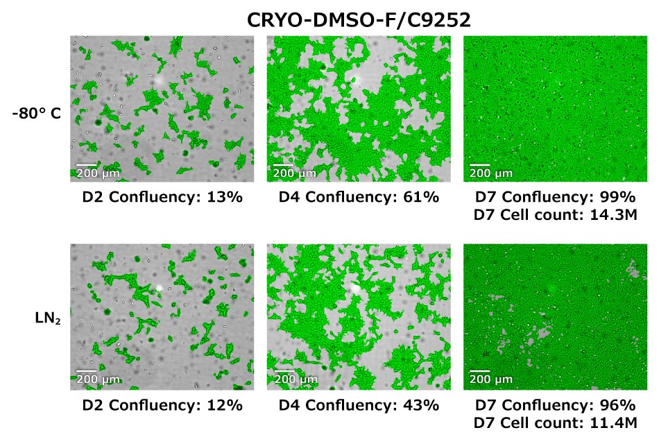 Cell confluency for HEK293 cells at 2-, 4-, and 7- days post-seeding taken with the Millicell® DCI Digital Cell Imager.