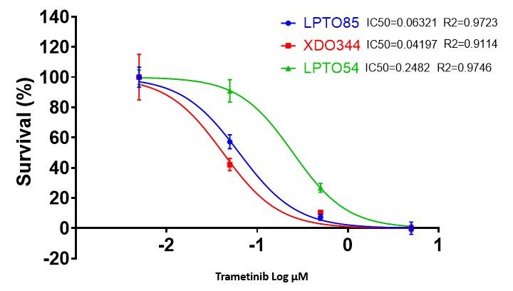 Drug Cytotoxicity Screening using Human Lung Cancer Organoids.