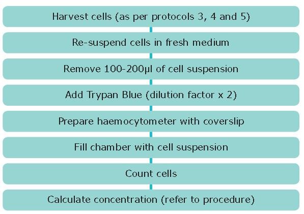 细胞培养实验方案6：使用血细胞计数器进行细胞计数