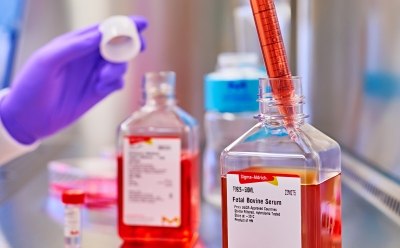 Serum for cell and tissue culture
