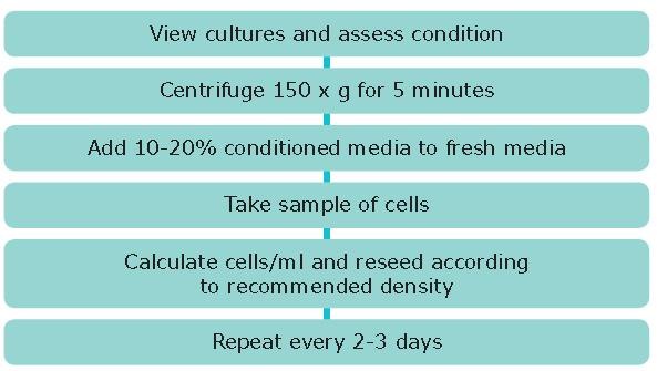 Subculture of Suspension Cell Lines