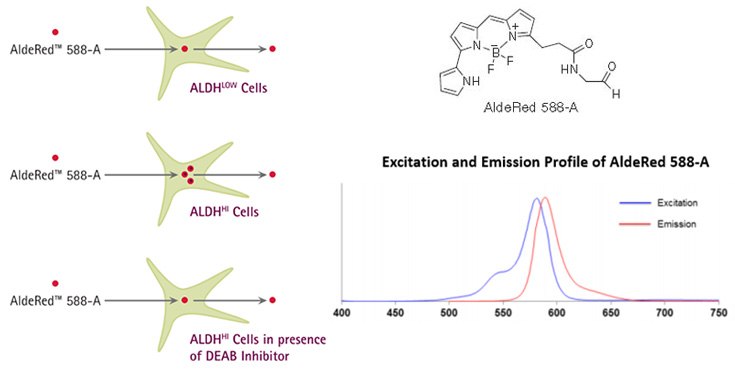 AldeRed™ Mechanism of Action