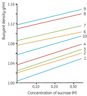 Effects of sucrose concentration on the recorded densities