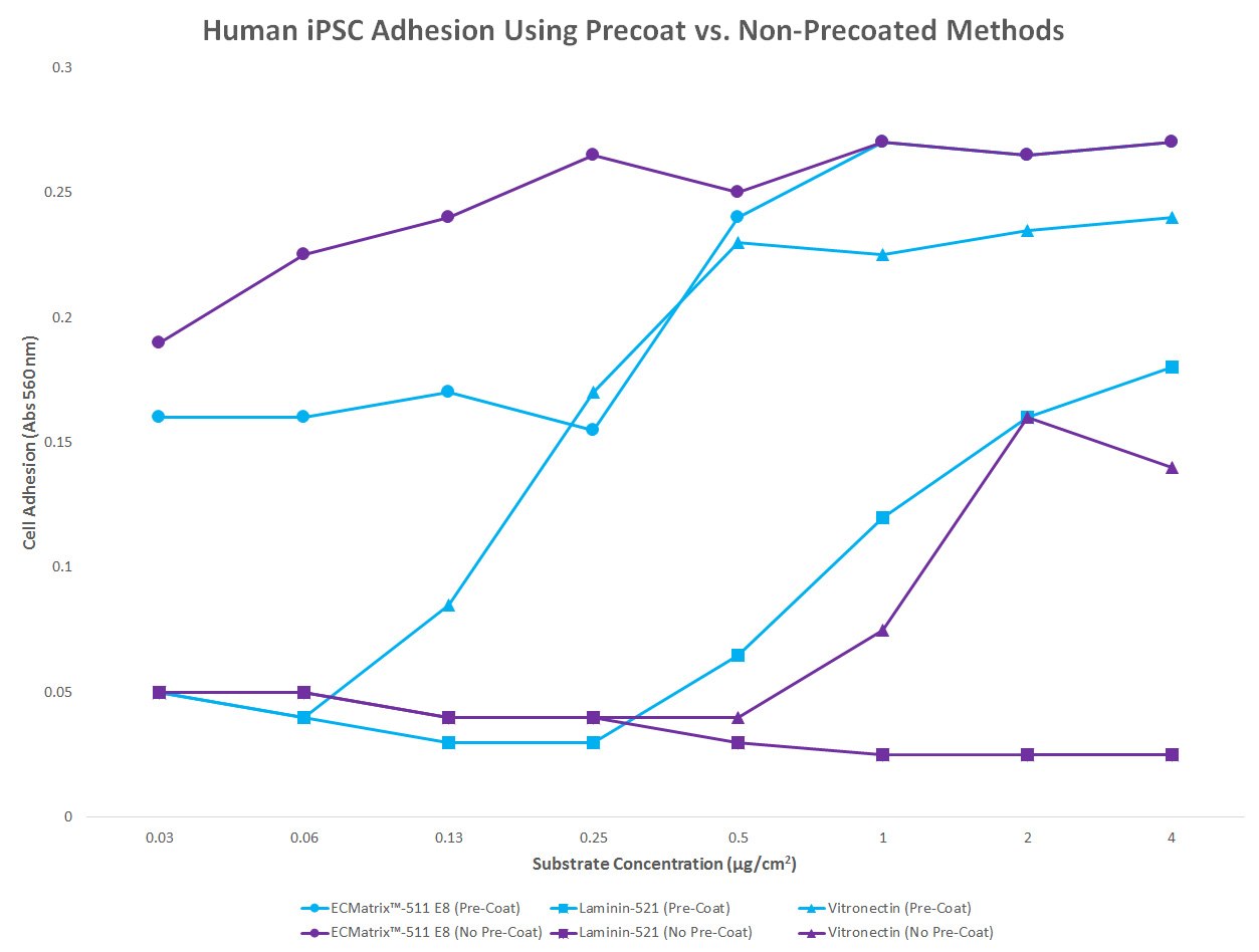 Human iPSC Adhesion Using Precoat vs. Non-Precoated Methods