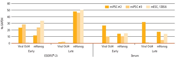 Nanog and Viral Oct4 expression in iPSCs