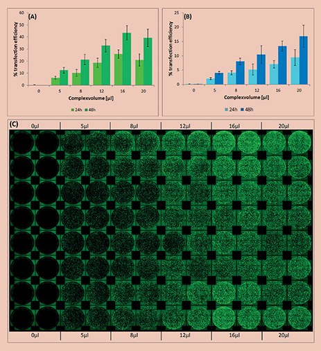 Analysis of transfection efficiency in the automated workflow