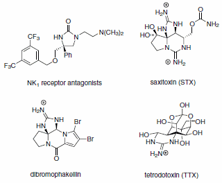 C–H Amination