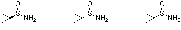 Ellman's Sulfinamides