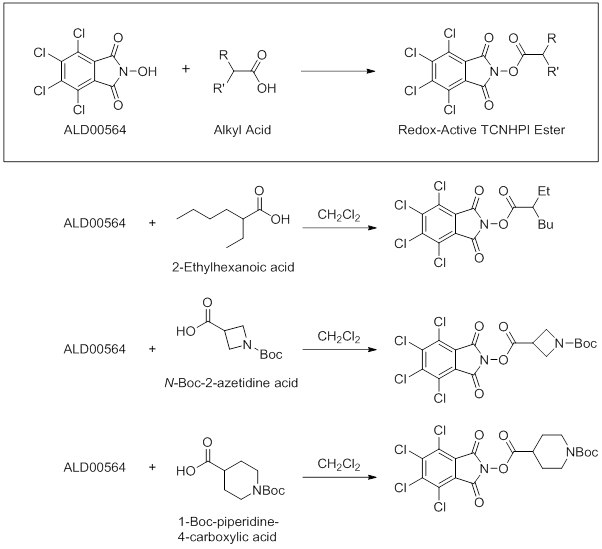 derived esters readily undergo cross-coupling with aryl zinc reagents