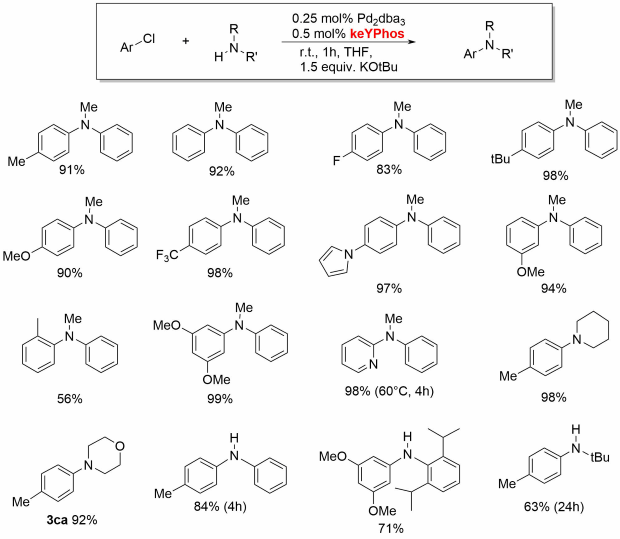 KeYPhos is a valuable ligand for the palladium catalyzed coupling of aryl chlorides with primary and secondary alkyl and aryl amines at room temperature.