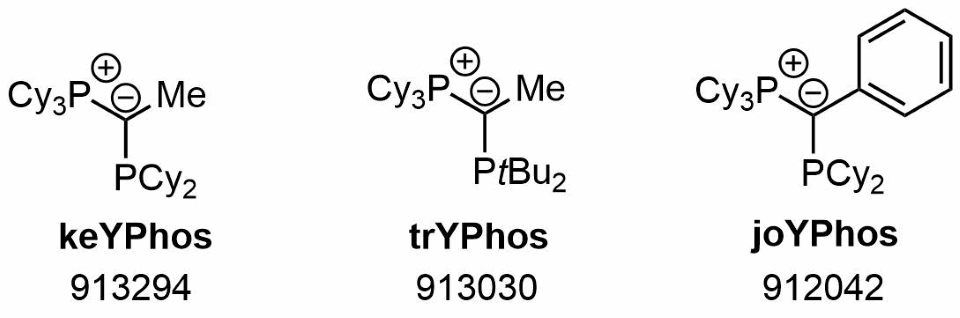 YPhos is a class of ylide-substituted phosphine ligands.