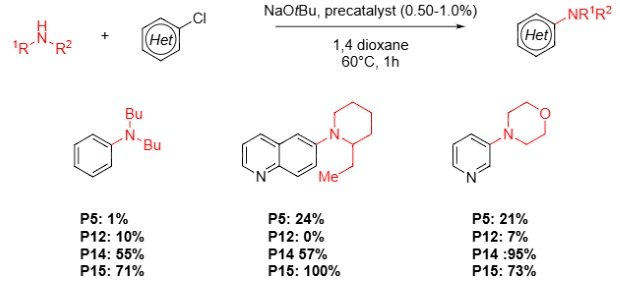 A chemical reaction diagram illustrating the Buchwald-Hartwig amination of alkyl amines with various heterocycles. The diagram includes reactants, conditions (NaO tBu, precatalyst, 1,4-dioxane, 60°C for 1 hour), and yields for different products (P5, P12, P14, P15) with percentages listed below each product structure.