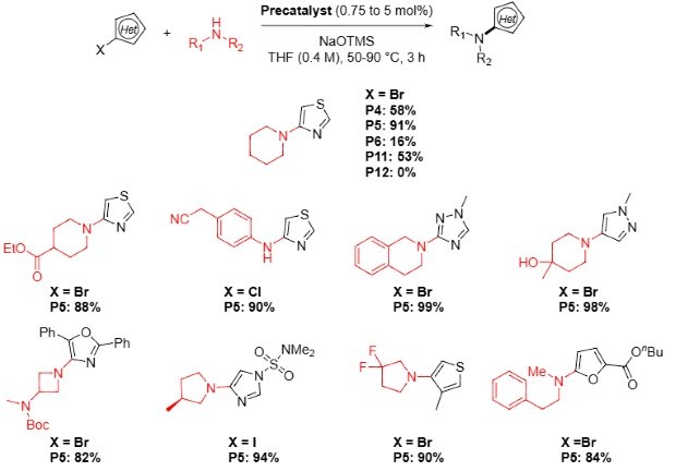 Reaction scheme showing a Buchwald Hartwig amination of  base sensitive five-membered heteroaryl halides and aliphatic amines using P9 precatalyst from Table 1 with different X groups including Br, Cl, and I on different heteroaryl-X