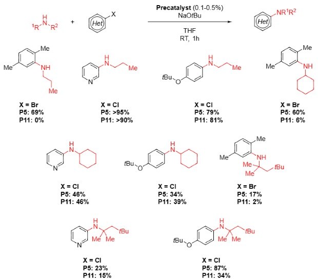 A chemical reaction diagram depicting the Buchwald-Hartwig amination involving primary aliphatic amines and different halides (X = Br, Cl). The image shows the reaction conditions (NaO tBu, precatalyst, THF, room temperature for 1 hour) and yields for various products (P5, P11) with percentages provided for each product structure across different conditions.
