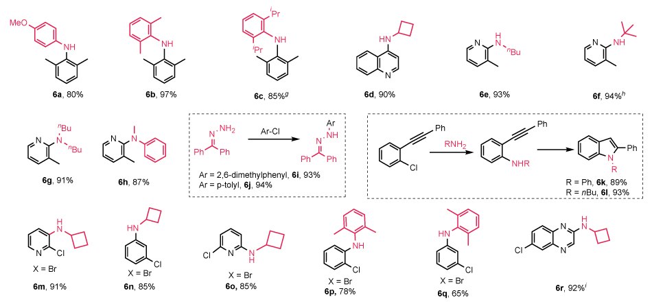 Table summarizing Buchwald–Hartwig coupling with (NHC-H)₂Pd₂Cl₆ showing substrates, nitrogen highlights, and yields from 65% to 97%.