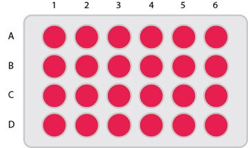 KitAlysis™ C-N Well Plate