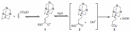 The authors also presented reasonable evidence implicating the phosphorus-bound Michael adduct 1 by preparation of species 3 via reaction of PTA with ethyl acrylate in THF-H2O