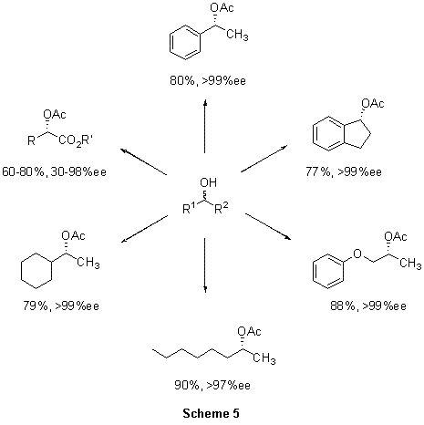 Candida antarcticalipase