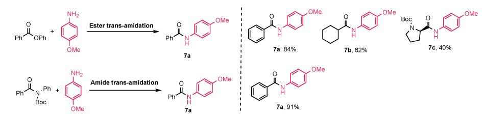 Schematic of ester and amide trans-amidation using (NHC-H)₂Pd₂Cl₆, showing key products with yields from 40% to 91% and highlighted functional groups.