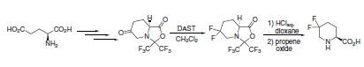 Scheme 5