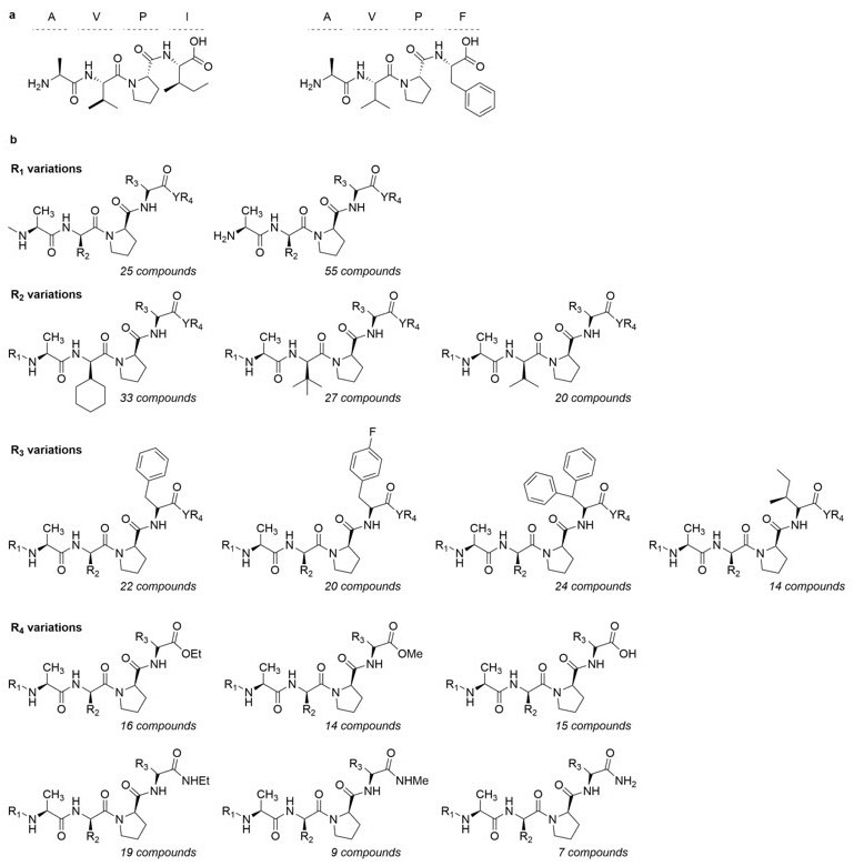 Structure of AVPI and AVPF