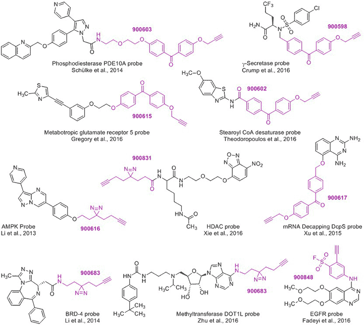 Trifunctional Scaffolds