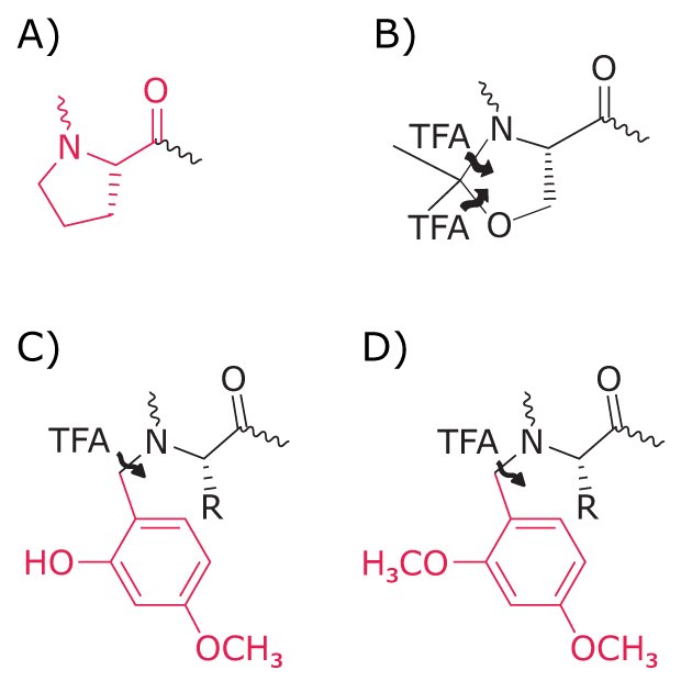 Secondary structure disrupting N-alkyl amino acids Diagram showing N‑alkyl amino acid structures used as secondary amino acid surrogates to disrupt peptide secondary structure.