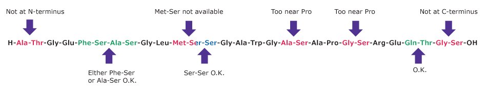 Synthesis design with secondary amino-acid surrogates Workflow diagram illustrating where to insert amino acid surrogates within a peptide sequence to prevent on‑resin aggregation.