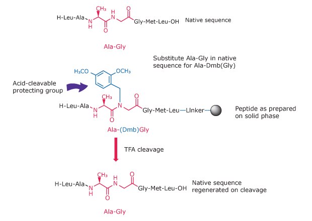 Principles of using Dmb dipeptides Illustration of how Dmb dipeptides substitute Gly-containing motifs to prevent aggregation and improve coupling efficiency.