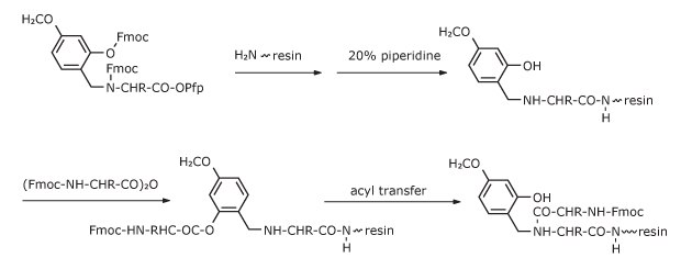 Mechanism of acylation of Hmb-protected residues Reaction mechanism showing acylation steps of Hmb‑protected amino acids, including intermediate formation and O→N acyl transfer.