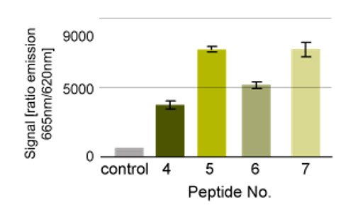 Kinase assay