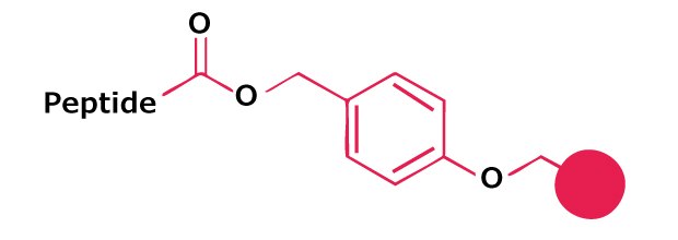 Chemical structure of a benzyl ester linker attaching a peptide to a solid support in Fmoc solid-phase peptide synthesis.