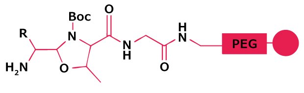 Chemical structure of a dimethoxy-substituted aryl amide linker used for peptide attachment in Fmoc solid-phase peptide synthesis.