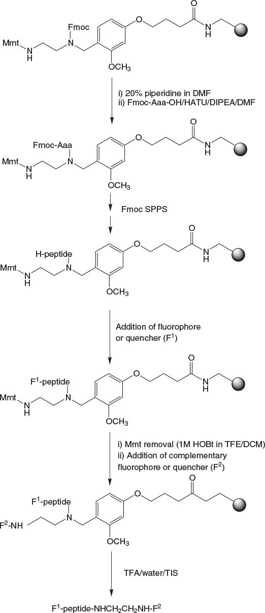 synthesis-using-universal-novatag